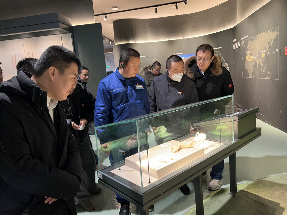 151705306084622360.png image.png