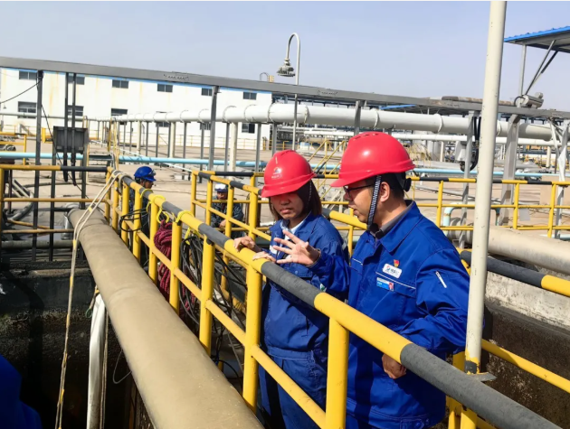 211745197247236555.png image.png