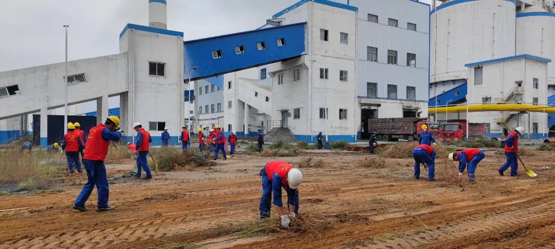 61822d17c62a7.jpg 640.webp (1).jpg