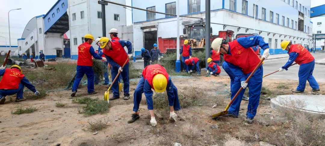 61822d4765be2.jpg 640.webp (2).jpg